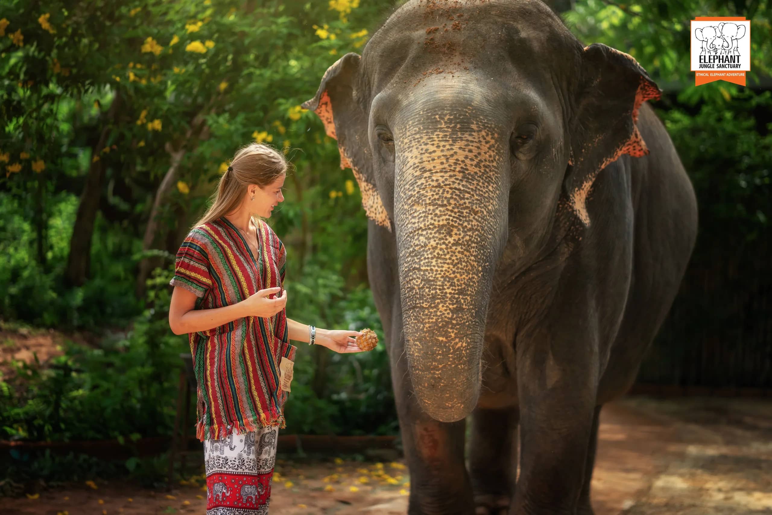One Day Walk with Elephant at Elephant Jungle Sanctuary Phuket (photo 6)