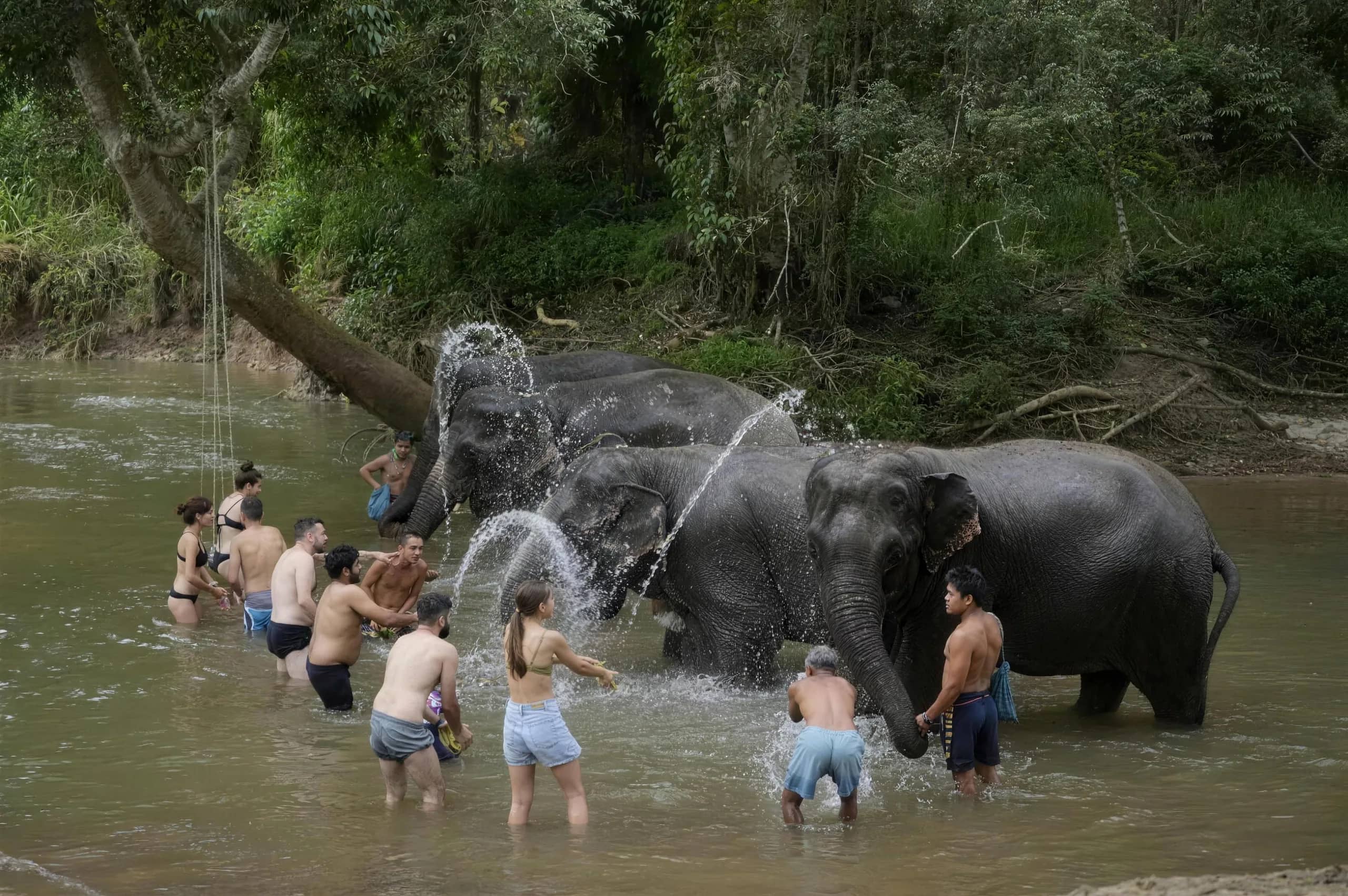 Visitors splash water over elephants standing in a river at Pon Elephant Sanctuary