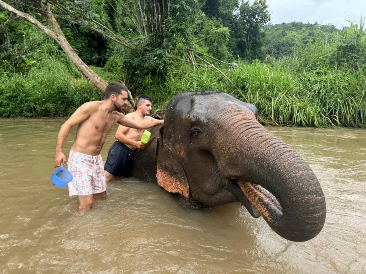 An elephant lifts its trunk out of the river while two visitors scoop water onto its back