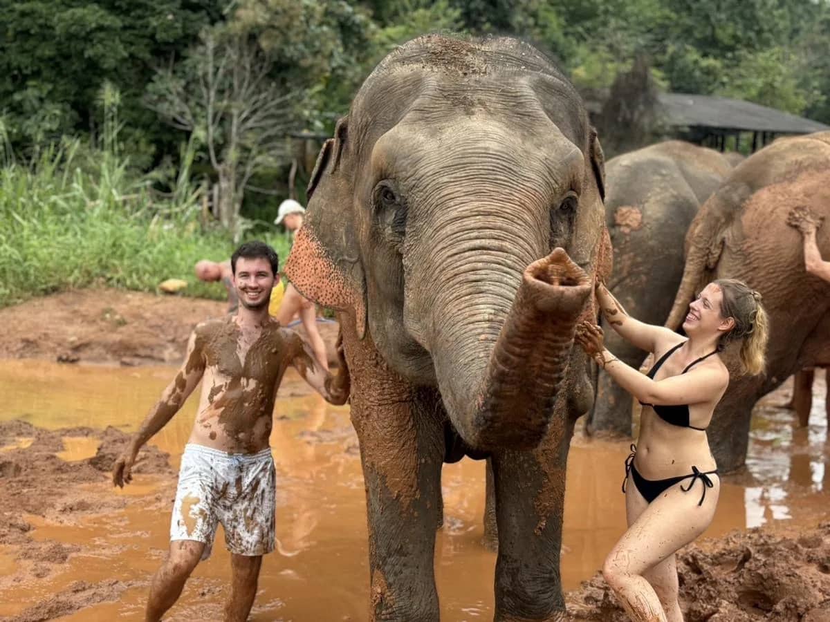 Two visitors covered in mud play beside elephants in an orange mud pool
