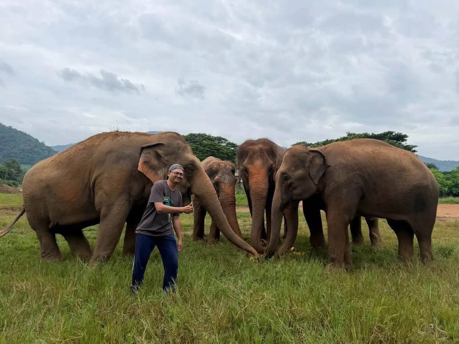 A caretaker stands with a herd of elephants grazing on a wide grassy meadow under a cloudy sky