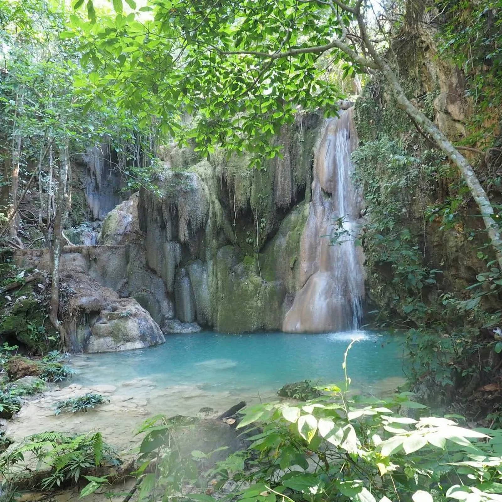 A slender waterfall pours over mossy limestone into a turquoise pool in the forest.