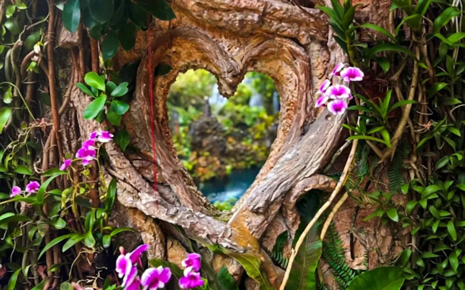 Pink orchids frame a heart-shaped hole in a twisted tree trunk with a turquoise pool beyond.