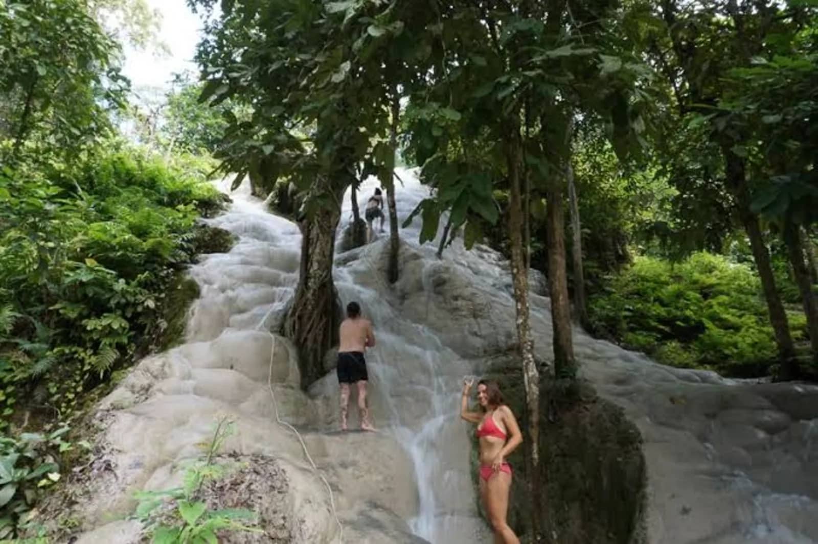 Visitors stand on the white limestone cascades of the Sticky Waterfall among tall trees