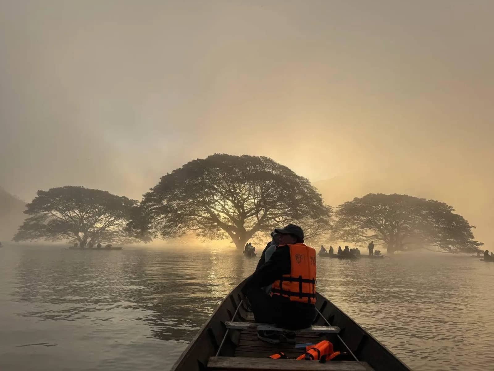 A passenger in a life jacket rides a wooden boat toward rain trees standing in a misty lake
