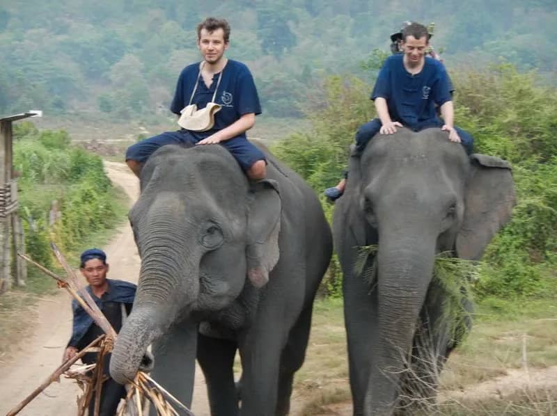 Two visitors in blue shirts sit on elephants walking down a dirt track as a mahout leads them