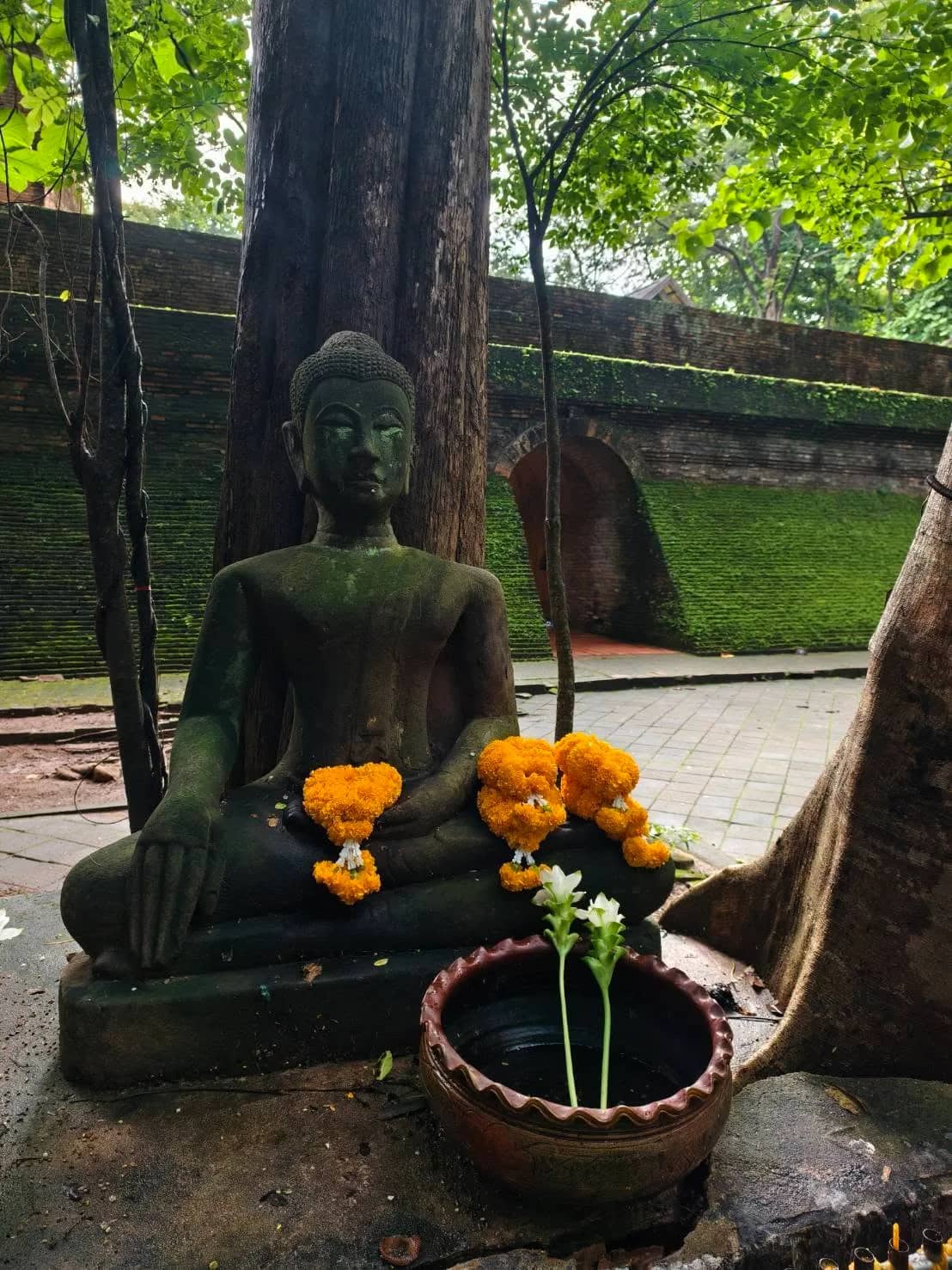 A moss-covered stone Buddha with orange marigold garlands sits under a tree at Wat Umong