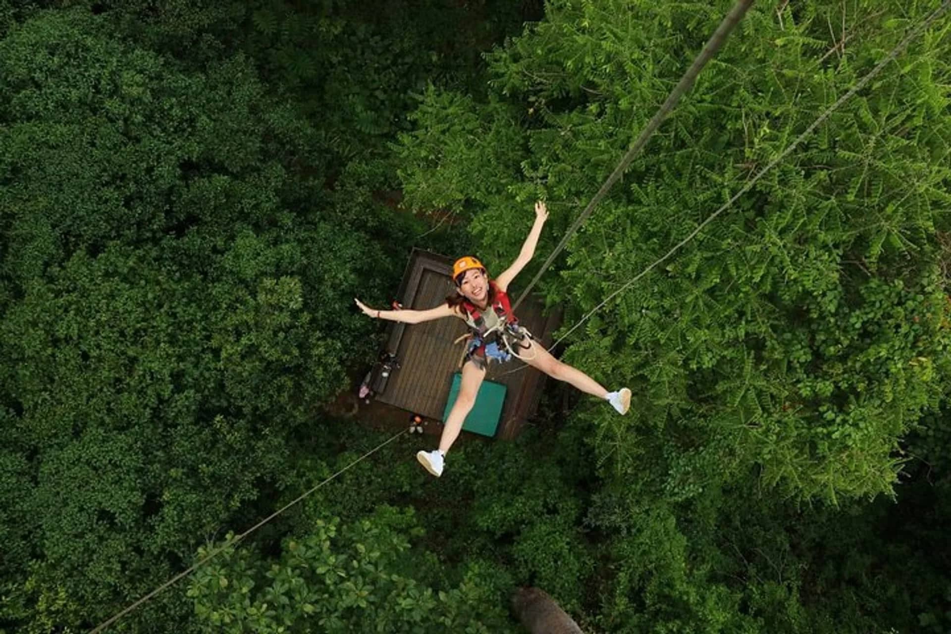 A zipliner in a helmet spreads her arms while gliding above the green forest canopy.