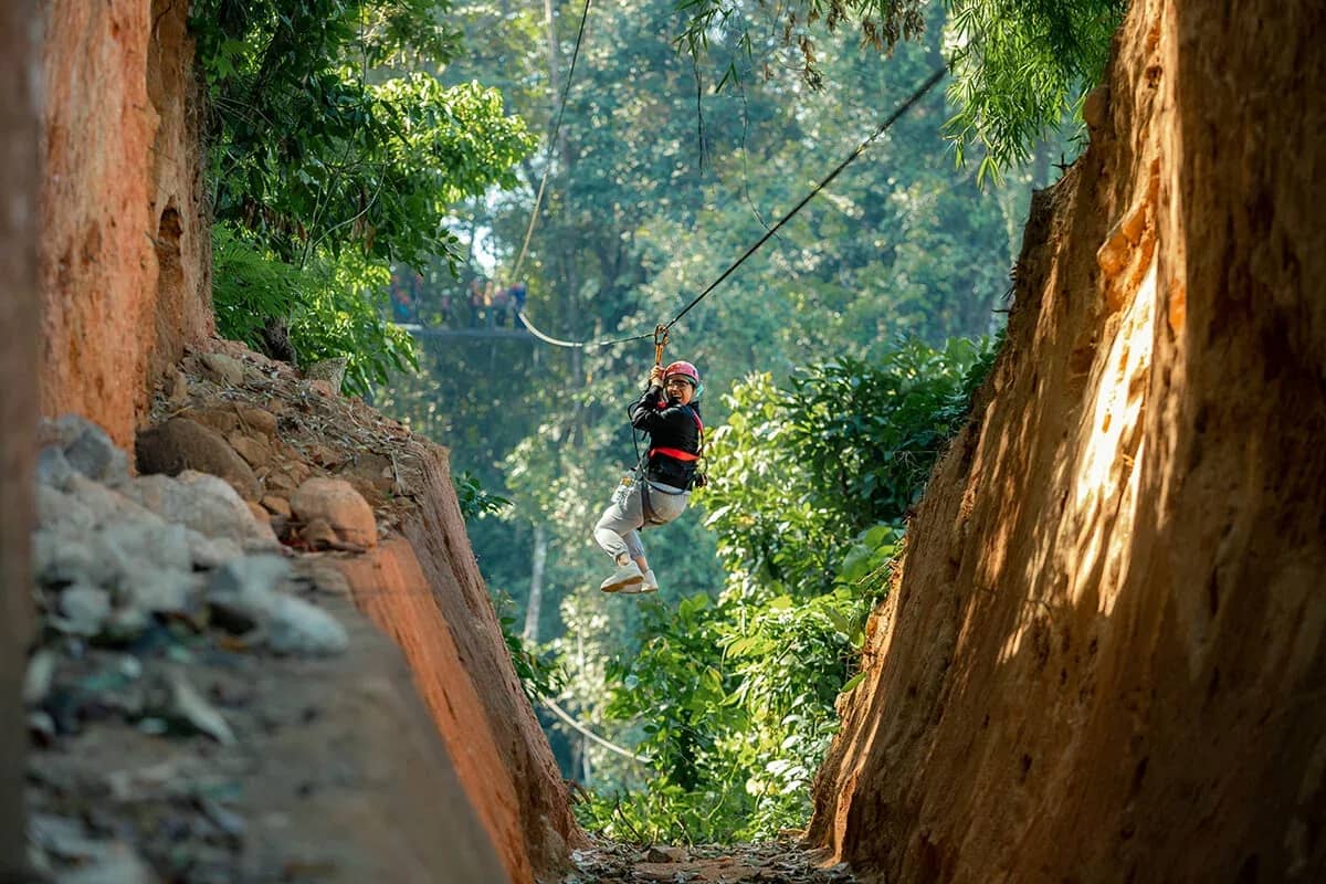 A rider glides along a zipline through a gap between two huge tree trunks in the forest.